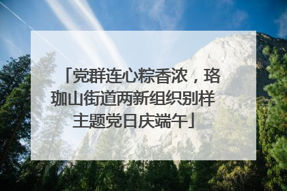 党群连心粽香浓，珞珈山街道两新组织别样主题党日庆端午