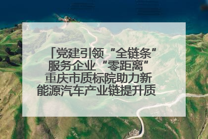 党建引领“全链条” 服务企业“零距离” 重庆市质标院助力新能源汽车产业链提升质量管理水平