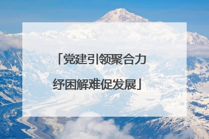 党建引领聚合力 纾困解难促发展
