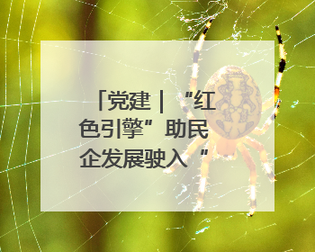 党建｜“红色引擎”助民企发展驶入“快车道”