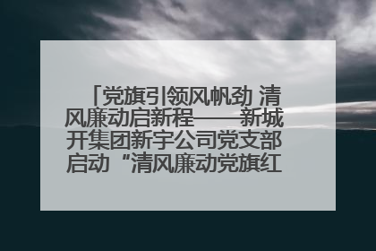 党旗引领风帆劲 清风廉动启新程——新城开集团新宇公司党支部启动“清风廉动党旗红”系列活动