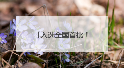 入选全国首批！济南零售业创新升级 “加速跑”