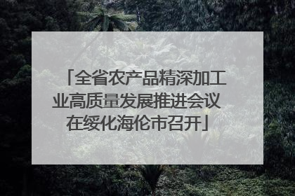 全省农产品精深加工业高质量发展推进会议在绥化海伦市召开