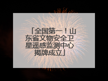 全国第一！山东省文物安全卫星遥感监测中心揭牌成立