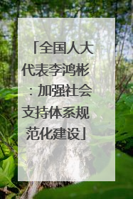 全国人大代表李鸿彬：加强社会支持体系规范化建设