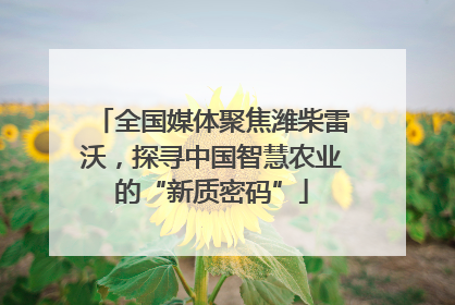 全国媒体聚焦潍柴雷沃，探寻中国智慧农业的“新质密码”