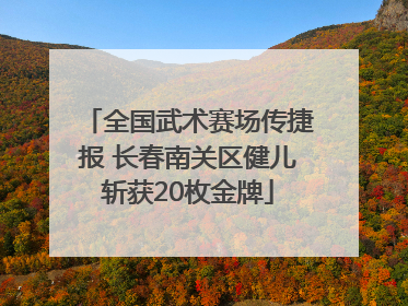 全国武术赛场传捷报 长春南关区健儿斩获20枚金牌