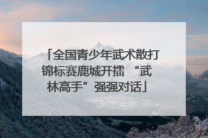 全国青少年武术散打锦标赛鹿城开擂 “武林高手”强强对话