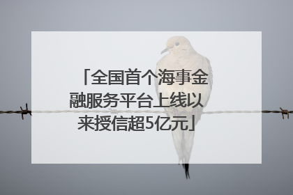 全国首个海事金融服务平台上线以来授信超5亿元