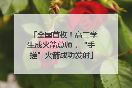 全国首枚！高二学生成火箭总师，“手搓”火箭成功发射