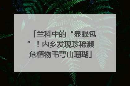 兰科中的“显眼包”！内乡发现珍稀濒危植物毛萼山珊瑚