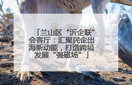 兰山区“沂企联”会客厅：汇聚民企出海新动能，打造跨境发展“强磁场”