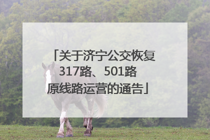 关于济宁公交恢复317路、501路原线路运营的通告