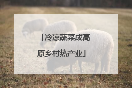 冷凉蔬菜成高原乡村热产业