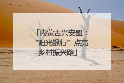 内蒙古兴安盟：“阳光银行”点亮乡村振兴路
