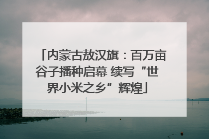 内蒙古敖汉旗：百万亩谷子播种启幕 续写“世界小米之乡”辉煌
