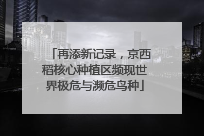 再添新记录，京西稻核心种植区频现世界极危与濒危鸟种