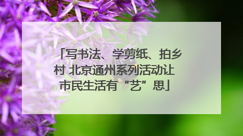 写书法、学剪纸、拍乡村 北京通州系列活动让市民生活有“艺”思