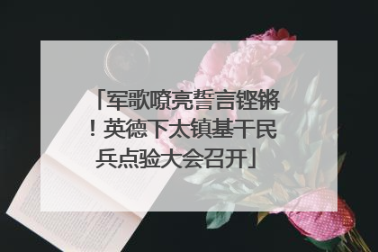 军歌嘹亮誓言铿锵！英德下太镇基干民兵点验大会召开