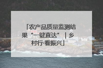 农产品质量监测结果“一键直达”｜乡村行·看振兴