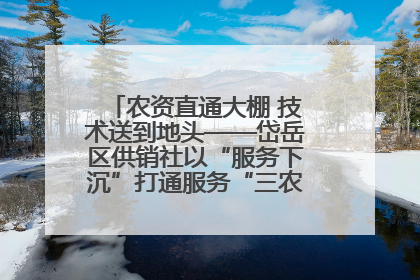 农资直通大棚 技术送到地头——岱岳区供销社以“服务下沉”打通服务“三农”最后一公里