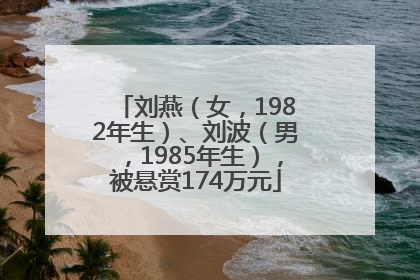 刘燕（女，1982年生）、刘波（男，1985年生），被悬赏174万元