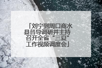 刘宁到周口商水县督导调研并主持召开全省“三夏”工作视频调度会