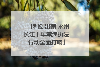 利剑出鞘 永州长江十年禁渔执法行动全面打响