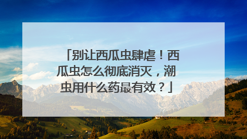 别让西瓜虫肆虐！西瓜虫怎么彻底消灭，潮虫用什么药最有效？