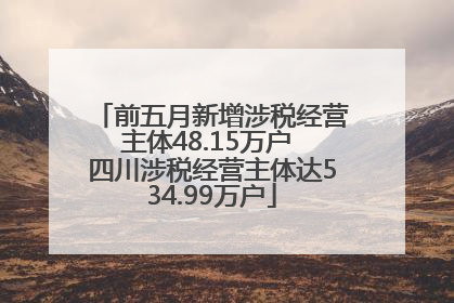 前五月新增涉税经营主体48.15万户 四川涉税经营主体达534.99万户