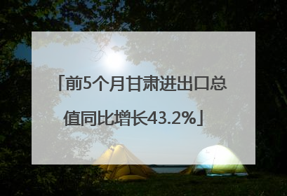 前5个月甘肃进出口总值同比增长43.2%