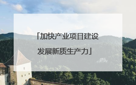加快产业项目建设 发展新质生产力