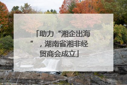 助力“湘企出海”，湖南省湘非经贸商会成立