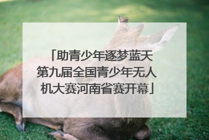 助青少年逐梦蓝天 第九届全国青少年无人机大赛河南省赛开幕