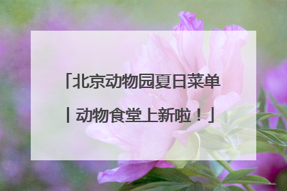 北京动物园夏日菜单丨动物食堂上新啦！