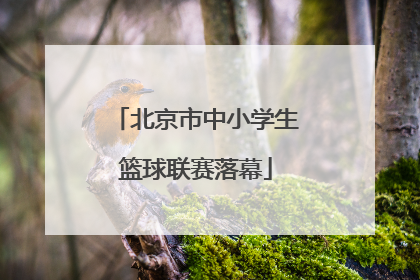 北京市中小学生篮球联赛落幕