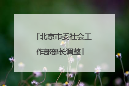 北京市委社会工作部部长调整