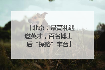 北京：最高礼遇邀英才，百名博士后“探路”丰台