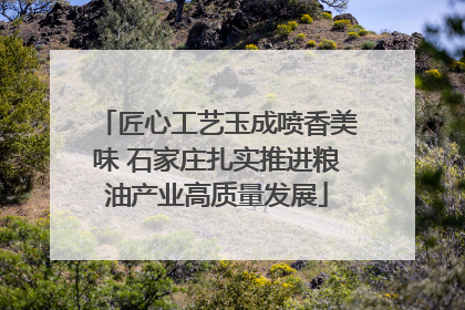 匠心工艺玉成喷香美味 石家庄扎实推进粮油产业高质量发展