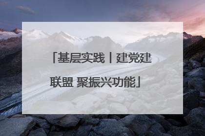 基层实践丨建党建联盟 聚振兴功能