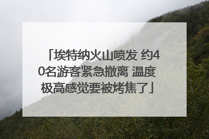 埃特纳火山喷发 约40名游客紧急撤离 温度极高感觉要被烤焦了