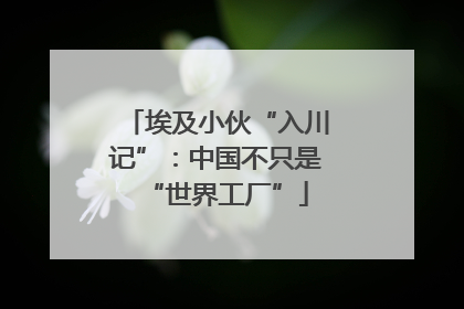 埃及小伙“入川记”：中国不只是“世界工厂”