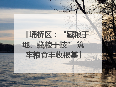 埇桥区：“藏粮于地、藏粮于技” 筑牢粮食丰收根基