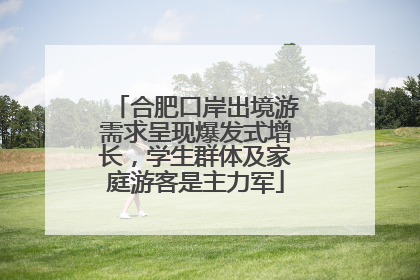 合肥口岸出境游需求呈现爆发式增长，学生群体及家庭游客是主力军
