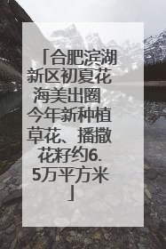 合肥滨湖新区初夏花海美出圈 今年新种植草花、播撒花籽约6.5万平方米