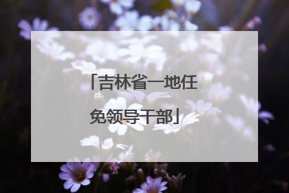 吉林省一地任免领导干部