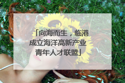 向海而生，临港成立海洋高新产业青年人才联盟