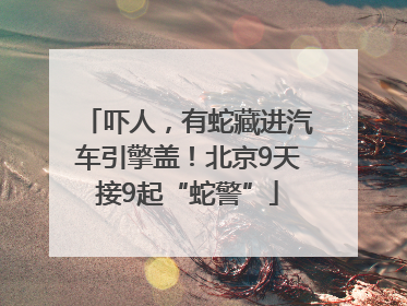 吓人，有蛇藏进汽车引擎盖！北京9天接9起“蛇警”