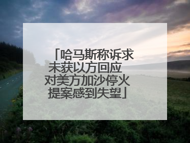 哈马斯称诉求未获以方回应 对美方加沙停火提案感到失望