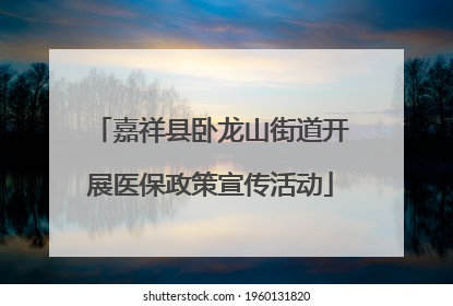 嘉祥县卧龙山街道开展医保政策宣传活动